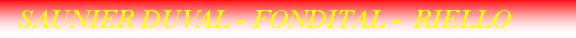 Casella di testo:   SAUNIER DUVAL - FONDITAL -  RIELLO