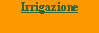 Casella di testo: Irrigazione